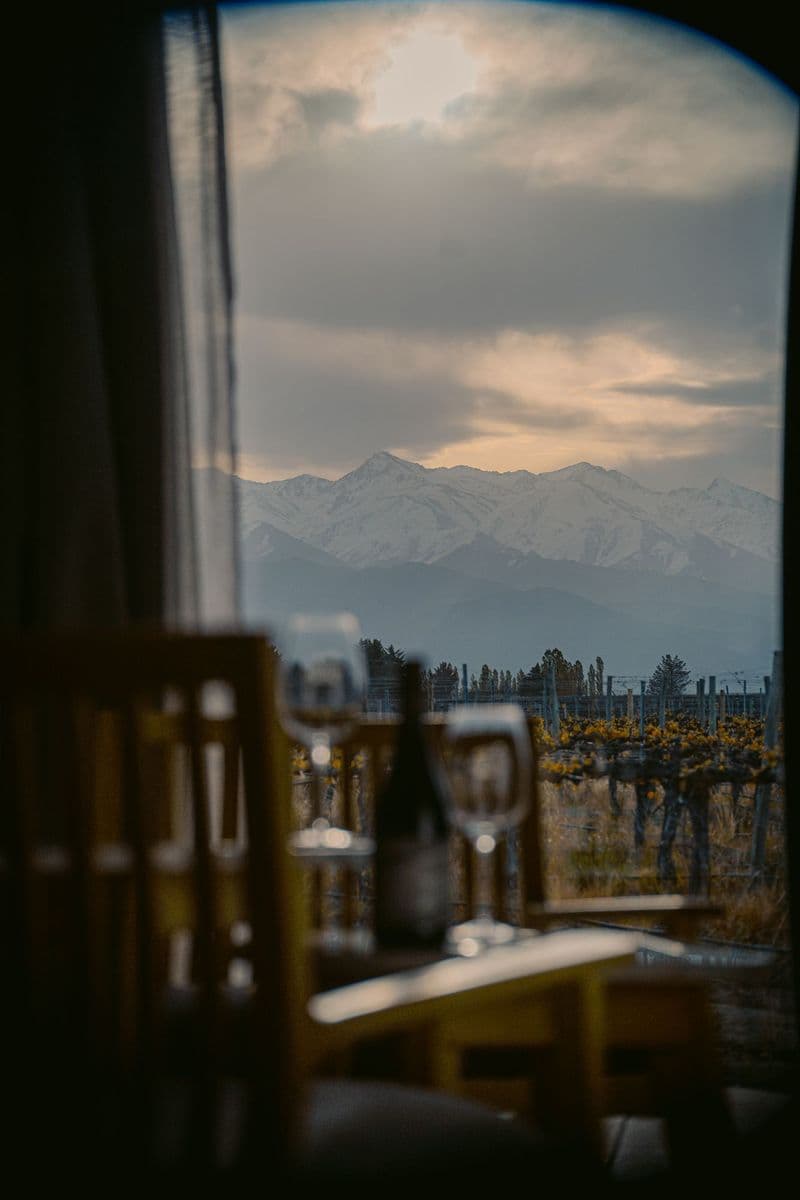 Vista desde el lodge con vino y Andes